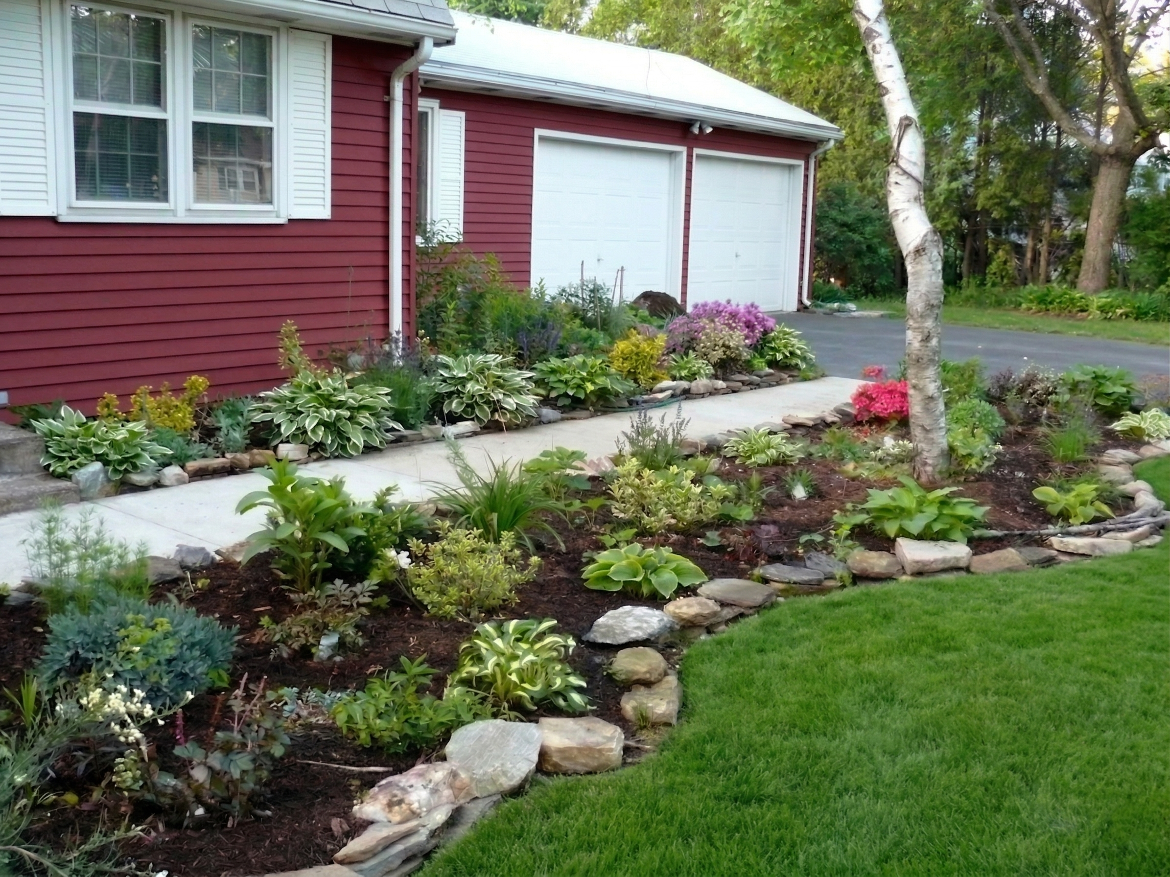 New garden
